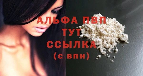 дживик Тобольск