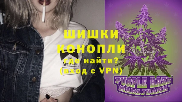 a pvp Бородино