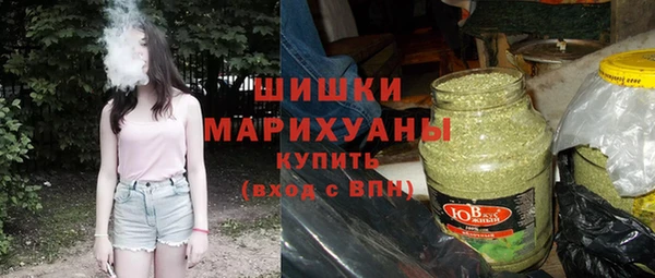 a pvp Бородино