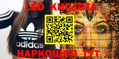 эйфоретик Гатчина