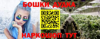 гашик Гай