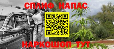 гидра Гагарин