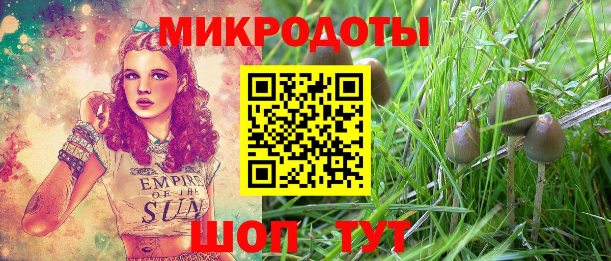 сколько стоит  Кириши  Галлюциногенные грибы прущие грибы  Галлюциногенные грибы Cubensis 